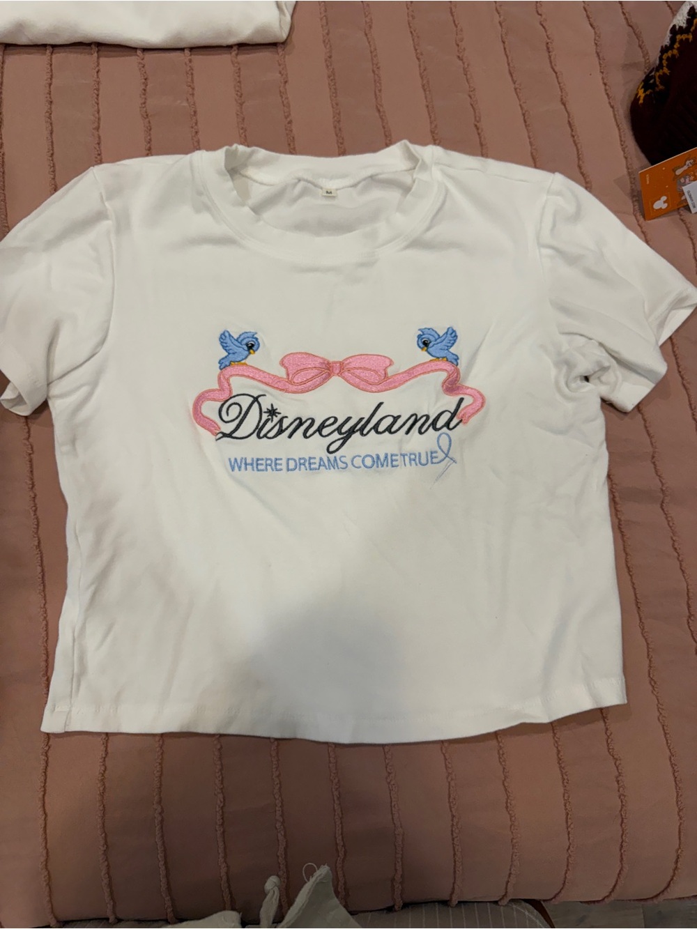 Disneyland Embroidered Women’s Baby Tee